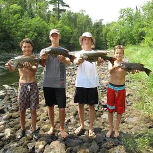 Meet your Posher, Stephen